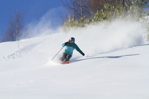 yabuharasyi.jpg