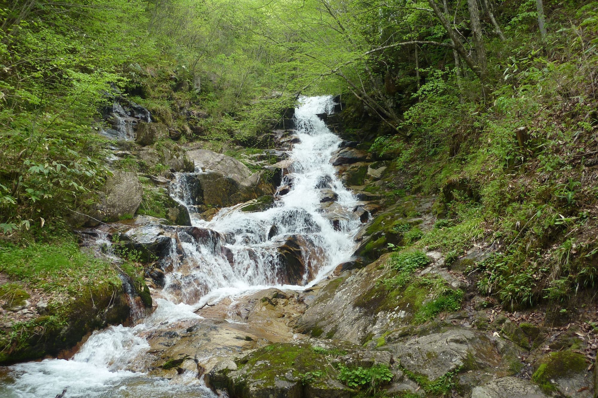pxt00013184265902.jpg